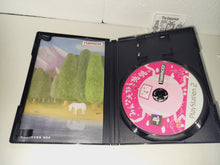 Load image into Gallery viewer, Minna Daisuki Katamari Damacy - Sony playstation 2