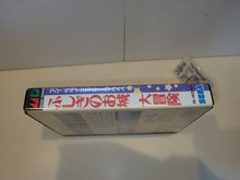 Load image into Gallery viewer, Castle of Illusion - Sega MD MegaDrive