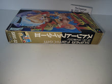 Load image into Gallery viewer, Street Fighter II: The World Warrior - Nintendo Sfc Super Famicom