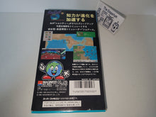 Load image into Gallery viewer, gian - SimEarth: The Living Planet - Nintendo Sfc Super Famicom