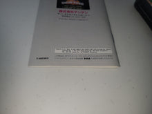 Load image into Gallery viewer, Snow Bros.: Nick & Tom - Sega MD MegaDrive