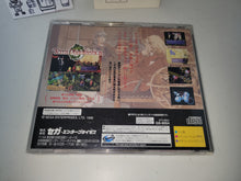 Load image into Gallery viewer, Terra Phantastica - Sega Saturn sat stn