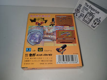 Load image into Gallery viewer, Woody Pop - Sega GameGear Sgg