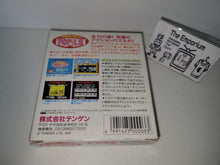 Load image into Gallery viewer, Magical Puzzle Popils - Sega GameGear Sgg