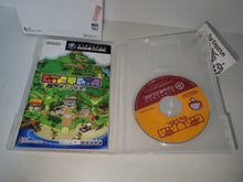 Load image into Gallery viewer, Giftpia - Nintendo GameCube GC NGC