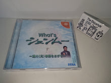 Load image into Gallery viewer, What's Shenmue - Sega dc Dreamcast