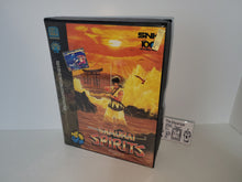 Load image into Gallery viewer, Samurai Spirits - Snk Neogeo AES NG