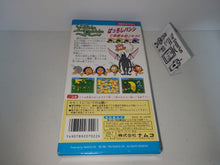 Load image into Gallery viewer, Libble Rabble - Nintendo Sfc Super Famicom