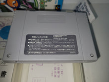 Load image into Gallery viewer, Libble Rabble - Nintendo Sfc Super Famicom