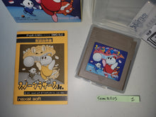 Load image into Gallery viewer, SnowBros Jr. - Nintendo GB GameBoy