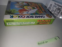 Load image into Gallery viewer, The Legend of Zelda: Link's Awakening DX - Nintendo GB GameBoy