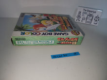 Load image into Gallery viewer, The Legend of Zelda: Link's Awakening DX - Nintendo GB GameBoy