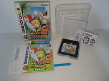 Load image into Gallery viewer, The Legend of Zelda: Link's Awakening DX - Nintendo GB GameBoy