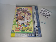 Load image into Gallery viewer, Fate Realta Nua EXTRA EDITION - Sony playstation 2