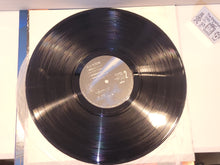 Lade das Bild in den Galerie-Viewer, Godzilla Densetsu – Vinyl-Schallplatte – japanischer Original-Soundtrack Japan Vinyl-Disc LP