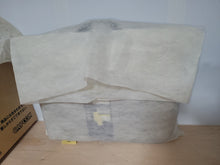 Load image into Gallery viewer, Biohazard 5Th Anniversary Nightmare Return Limited Edition - Sony playstation 2