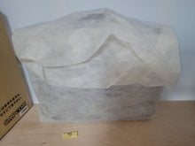 Load image into Gallery viewer, Biohazard 5Th Anniversary Nightmare Return Limited Edition - Sony playstation 2