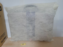 Load image into Gallery viewer, Biohazard 5Th Anniversary Nightmare Return Limited Edition - Sony playstation 2