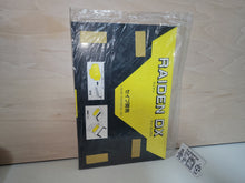 Load image into Gallery viewer, RAIDEN DX POP - Arcade poster artset