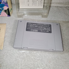 Lade das Bild in den Galerie-Viewer, ELNARD – Nintendo Super Famicom SFC Japan