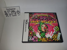 Load image into Gallery viewer, Irodzuki Tingle no Koi no Balloon Trip - Nintendo Ds NDS