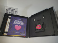 Load image into Gallery viewer, Irodzuki Tingle no Koi no Balloon Trip - Nintendo Ds NDS