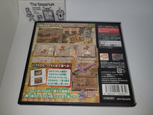 Load image into Gallery viewer, Ivy the Kiwi? - Nintendo Ds NDS