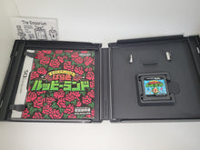 Load image into Gallery viewer, Mogitate Tincle no Barairo Rupee Land - Nintendo Ds NDS