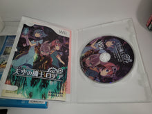 Load image into Gallery viewer, Rodea The Sky Soldier - Nintendo Wii