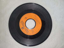 Load image into Gallery viewer, Flanders no Inu / A Dog of Flanders Vinyl Record - japanese original soundtrack japan vinyl disc LP