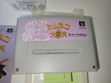 Load image into Gallery viewer, Torneco no Daibouken Fushigi no Dungeon -  nintendo super  famicom sfc japan