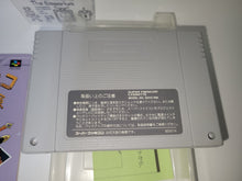 Load image into Gallery viewer, Torneco no Daibouken Fushigi no Dungeon -  nintendo super  famicom sfc japan
