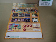 Load image into Gallery viewer, Daemon Bride Promo Flyer A4 - arcade artset art set