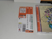 Load image into Gallery viewer, Climax Landers - Sega dc Dreamcast