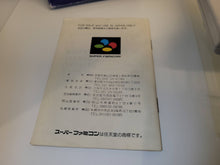 Load image into Gallery viewer, Pilotwings - Nintendo Sfc Super Famicom