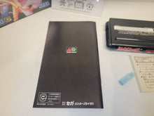 Load image into Gallery viewer, Garou Densetsu /Fatal Fury - Sega MD MegaDrive