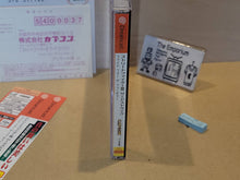 Load image into Gallery viewer, Street fighter III 3rd Strike - Sega dc Dreamcast