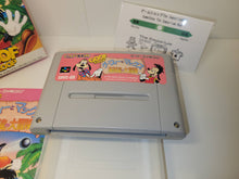 Load image into Gallery viewer, Goofy to Max - Kaizoku-jima no Daibouken - Nintendo Sfc Super Famicom