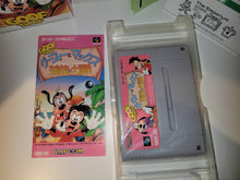 Load image into Gallery viewer, Goofy to Max - Kaizoku-jima no Daibouken - Nintendo Sfc Super Famicom