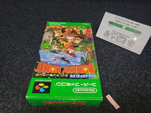 Load image into Gallery viewer, Super Donkey Kong - Nintendo Sfc Super Famicom
