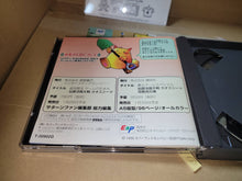 Load image into Gallery viewer, Chaos Seed - Sega Saturn sat stn