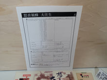 Load image into Gallery viewer, Dodonpachi DaiOuJou POP and Manual - arcade artset art set