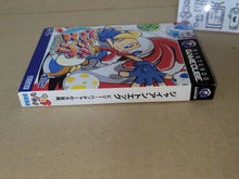 Load image into Gallery viewer, Billy Hatcher & The Giant Egg - Nintendo GameCube GC NGC