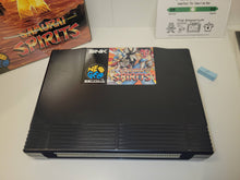 Load image into Gallery viewer, Samurai Spirits - Snk Neogeo AES NG