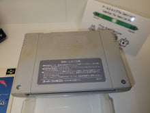 Load image into Gallery viewer, Pilotwings - Nintendo Sfc Super Famicom