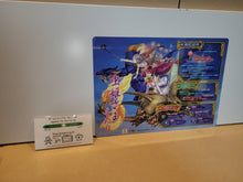 Load image into Gallery viewer, Mushihime Sama Futari A4 ART MAT - Arcade poster artset