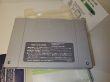Load image into Gallery viewer, Space Invaders - The Original Game - Nintendo Sfc Super Famicom