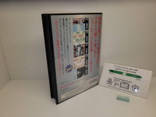 Load image into Gallery viewer, V-V / v - five / Grind Stormer - Sega MD MegaDrive