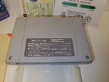 Load image into Gallery viewer, bets - Yoshi Island - Nintendo Sfc Super Famicom