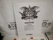 Load image into Gallery viewer, Vampire / Darkstalkers - arcade artset art set